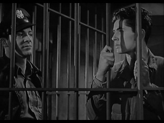 purple heart (1944)